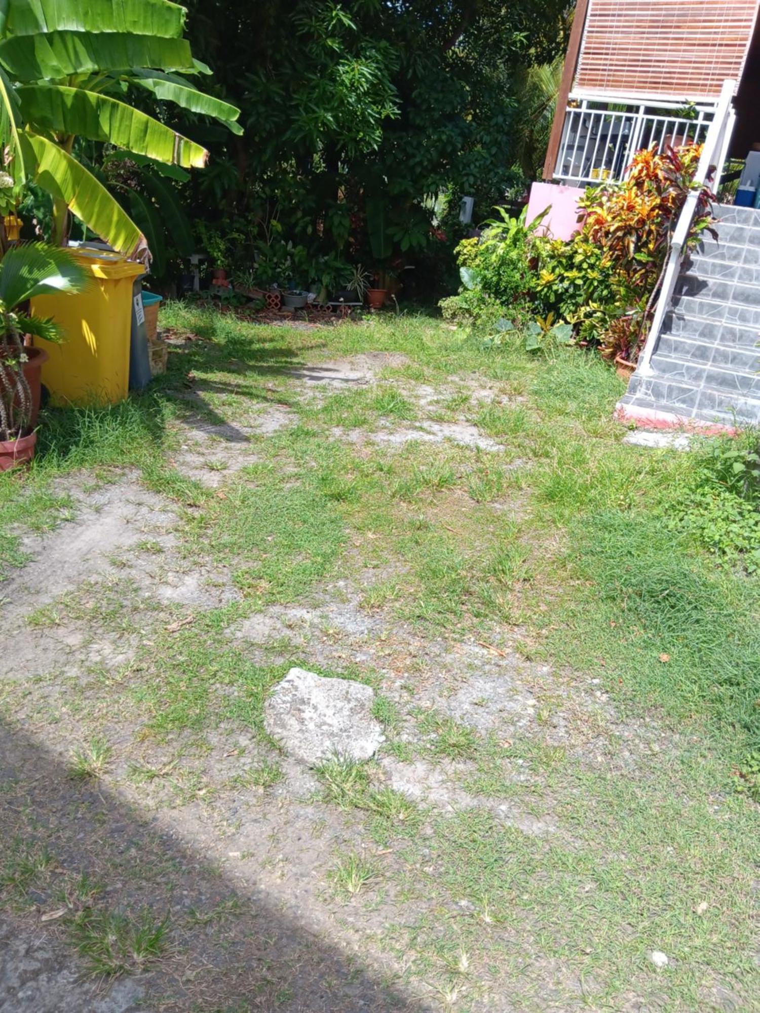 Sous Le Manguier Apartment Sainte-Anne Ngoại thất bức ảnh